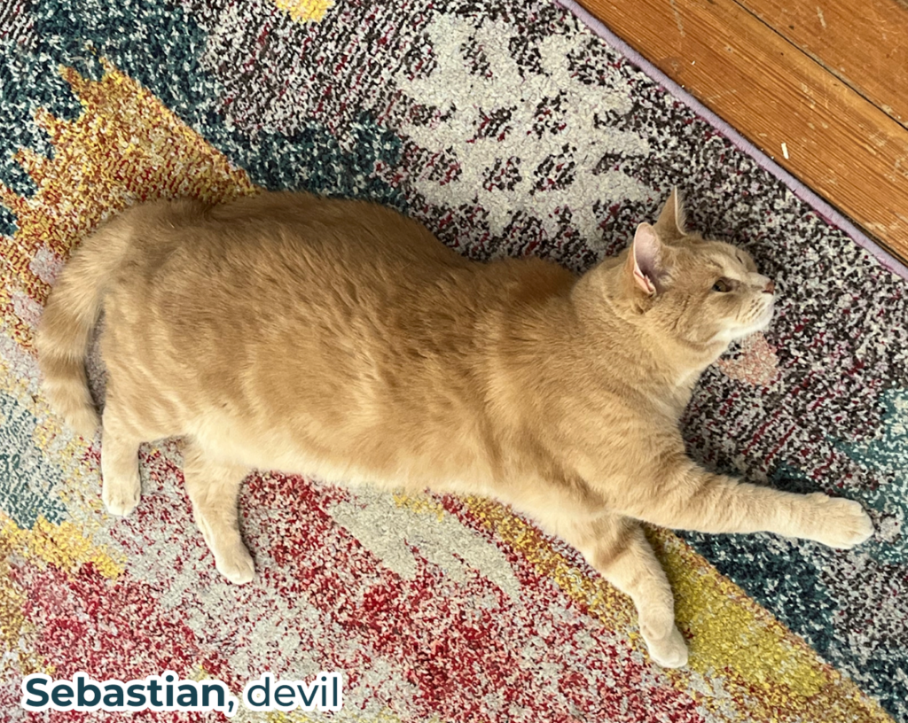 Sebastian (devil), the orange cat, sprawled on the rug. 